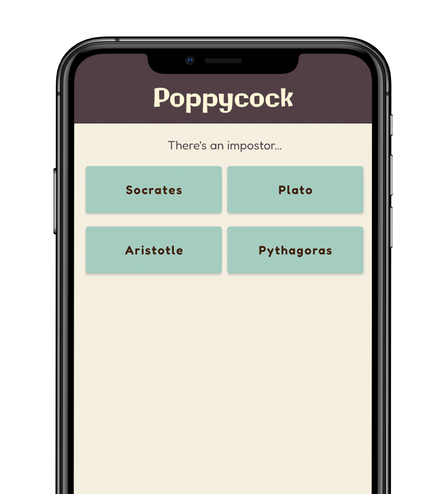 Poppycock spot the impostor puzzle
